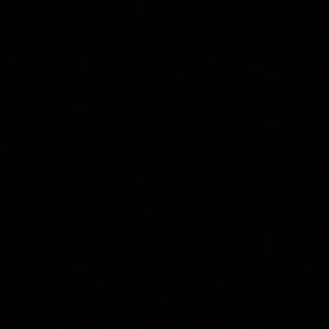 Meet your Posher, Joana