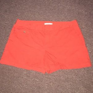 Ann Taylor Loft Shorts