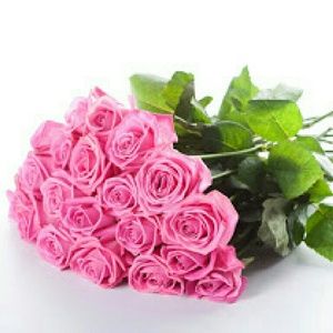 Meet your Posher, Shivone