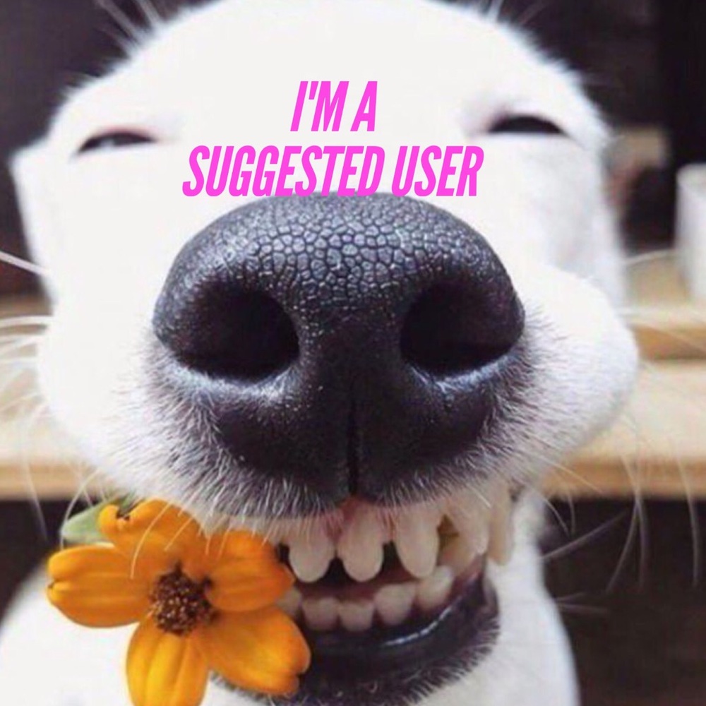 I am a Suggested User