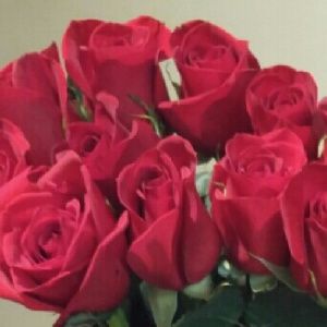 Meet your Posher, Tami