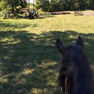 Meet your Posher, Sally