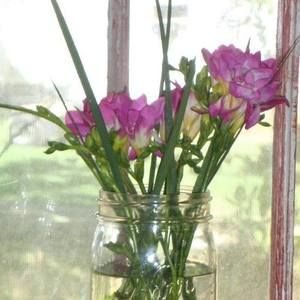 Meet your Posher, Karla