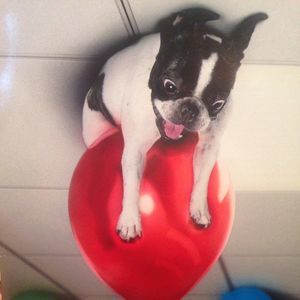 Meet your Posher, Colter