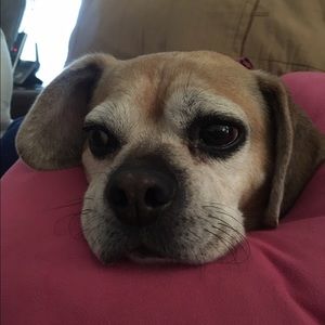 Meet your Posher, Kim