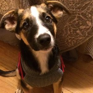 Meet your Posher, Christine