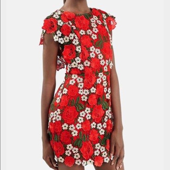 Topshop Embroidered Dress