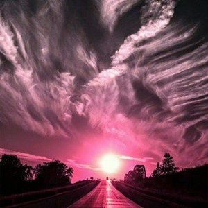 Meet your Posher, Nelly