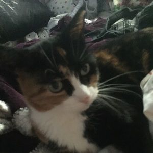 Meet your Posher, Samantha