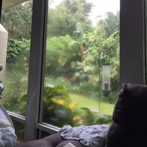 Meet your Posher, Katy