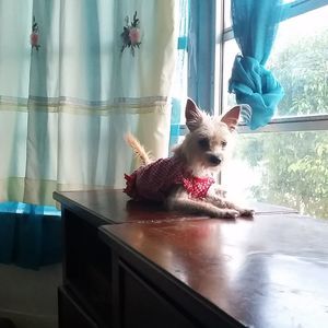 Meet your Posher, Ines