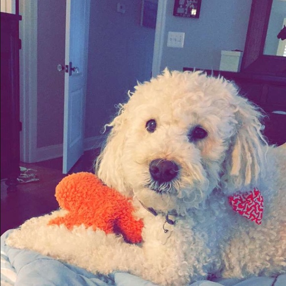 Meet your Posher, Rachel