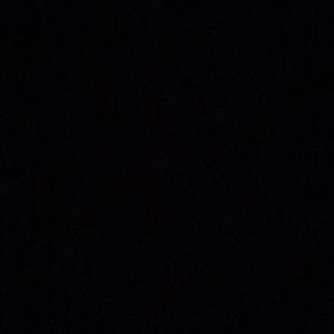 Meet your Posher, Dani