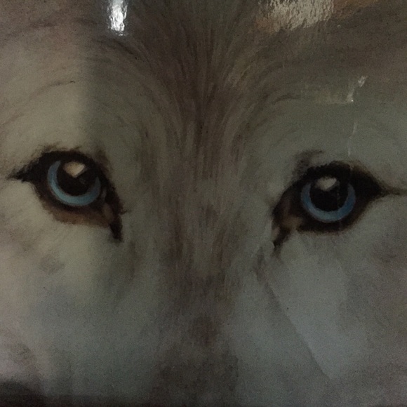 Meet your Posher, Nancy - Picture 1 of 1