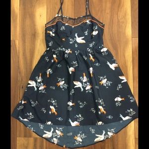 Navy Blue High Low Birds Dress