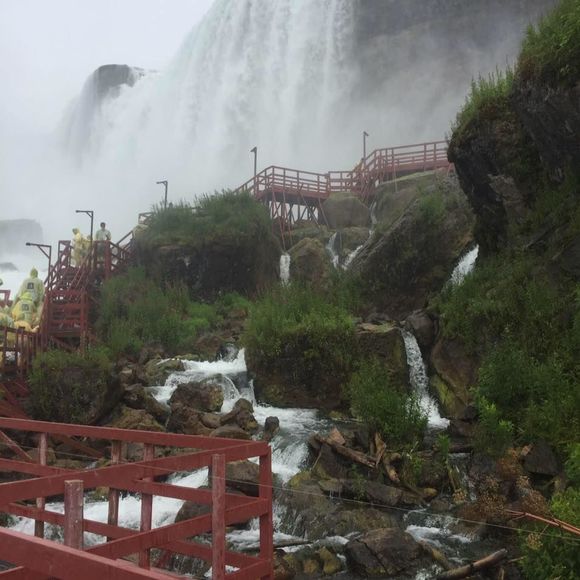 Meet your Posher, Yahaira