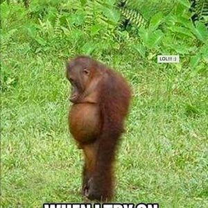 Meet your Posher, Liz