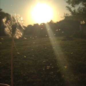 Meet your Posher, Kenna