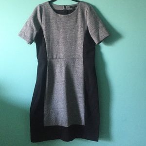J Crew Two Tone Dress