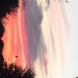 Meet your Posher, Gabby