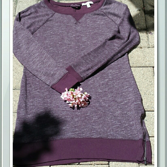 Banana Republic sweatshirt dress.