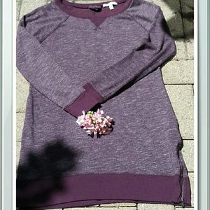 Banana Republic sweatshirt dress.