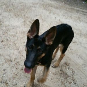 Meet your Posher, Wanda