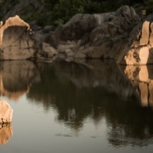 Meet your Posher, Jackie