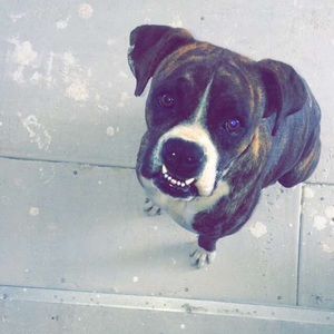 Meet your Posher, Jaqueline