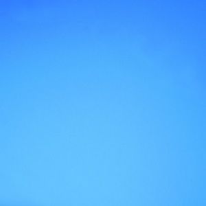 Meet your Posher, Rory