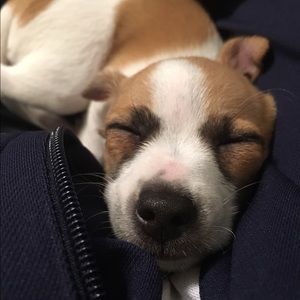 Meet your Posher, Blythe