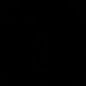 Meet your Posher, Rasheen