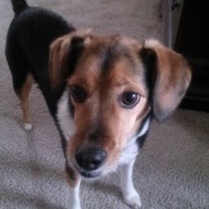 Meet your Posher, Annette