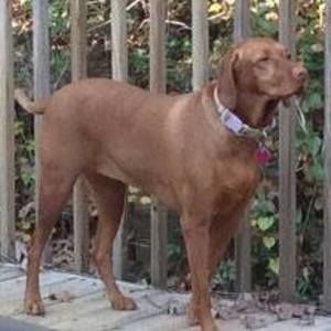 Meet your Posher, Joanne