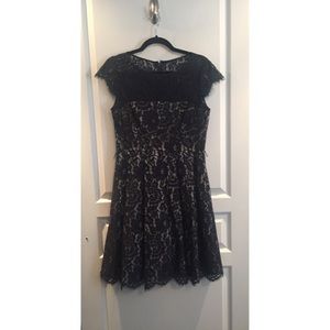 Knee length navy lace dress