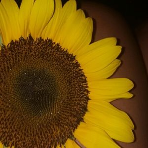 Meet your Posher, Sharee