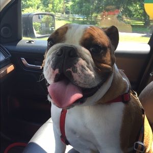 Meet your Posher, Sam