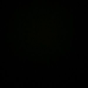 Meet your Posher, Irina