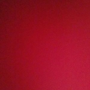 Meet your Posher, Aalajah