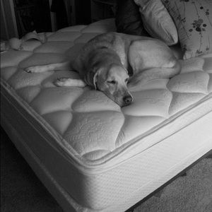 Meet your Posher, Alex