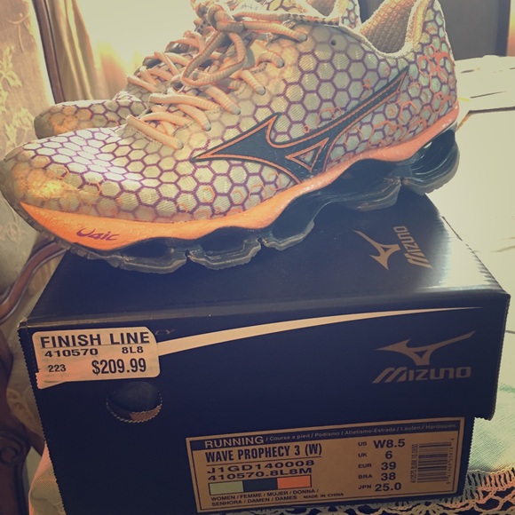 Mizuno prophecy
