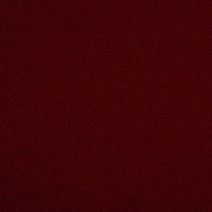 Meet your Posher, Zoey