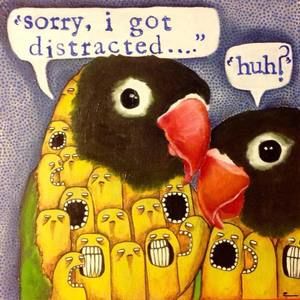 Meet your Posher, Pat