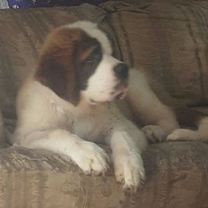 Meet your Posher, Beth