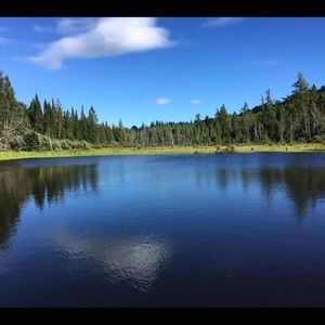 Meet your Posher, Ashton