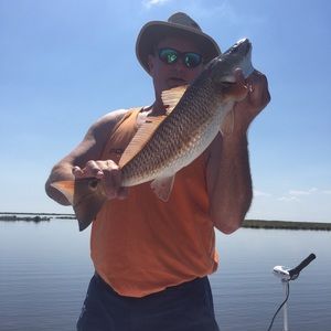 Meet your Posher, Darrell