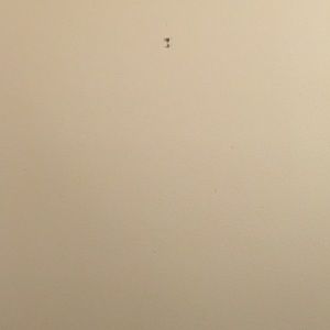 Meet your Posher, Richard