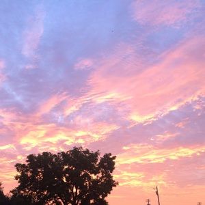 Meet your Posher, Kaylee