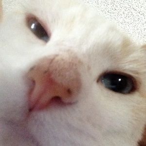 Meet your Posher, Becca