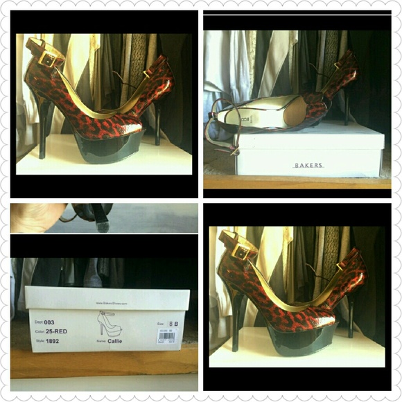 In search of these beauty's.